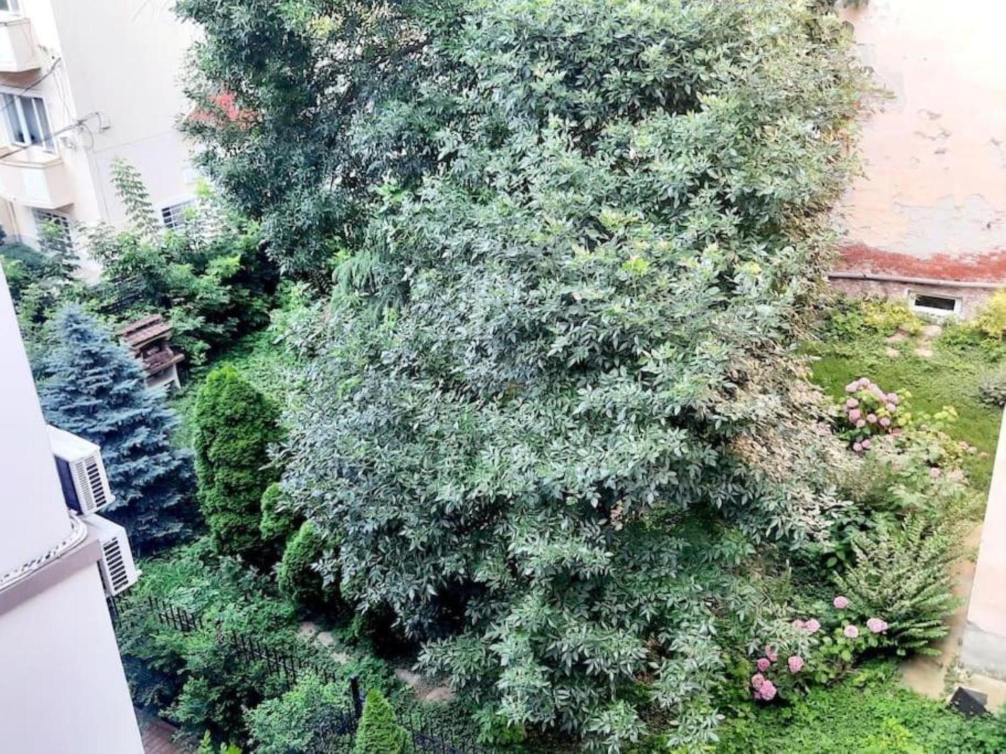 One Bedroom By The Park Old Town Belle Vue Timisoara Exterior photo